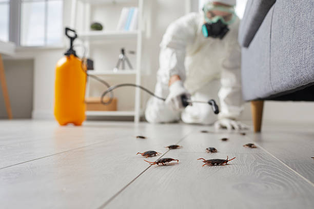 Post-Treatment Bed Bug Interceptor Monitoring in Montgomery